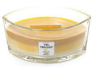 WoodWick Fruits Of Summer Ellipse Candle Trilogy